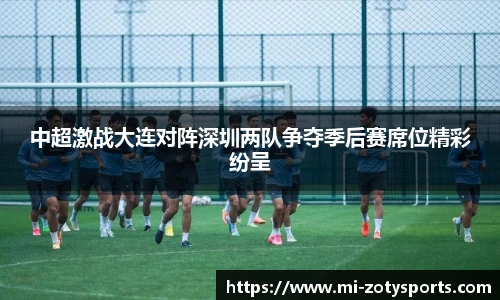 中欧体育zoty网址