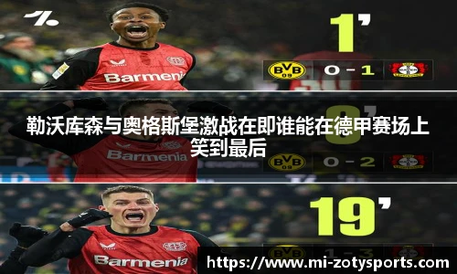 中欧体育